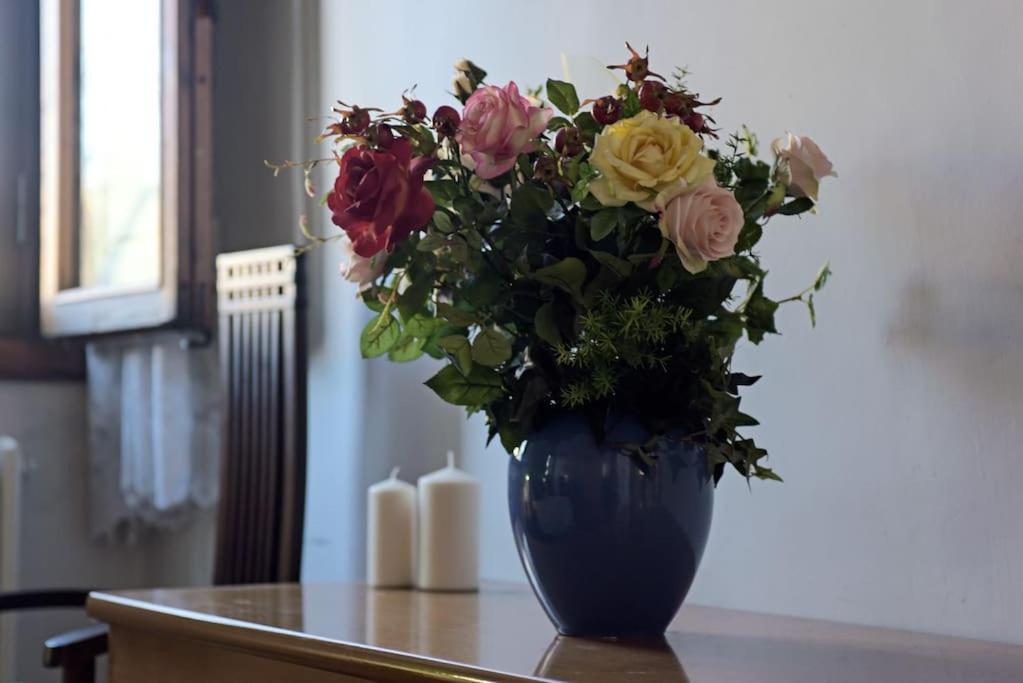 Apartamento Cozy With Private Garden - City Center - *